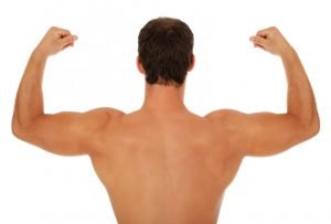 muscled back
